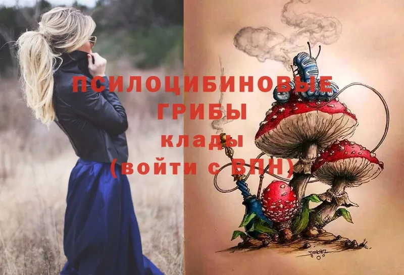 Псилоцибиновые грибы Magic Shrooms  блэк спрут как зайти  Никольское  купить наркоту 